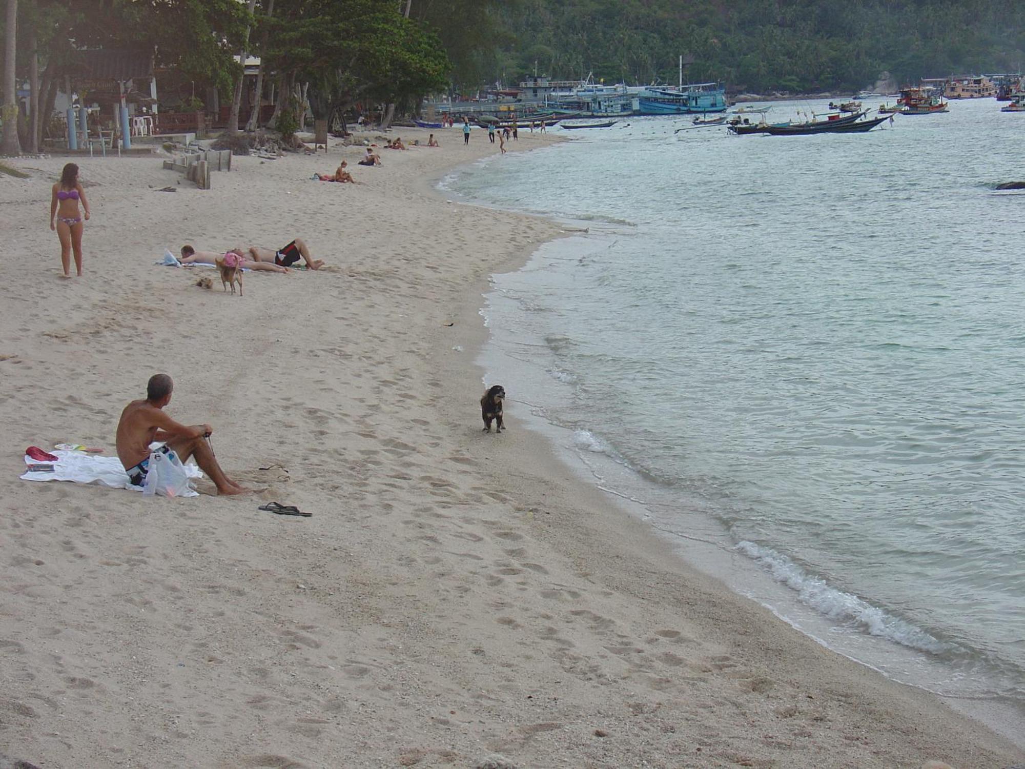 Queen Resort Ko Tao Bagian luar foto