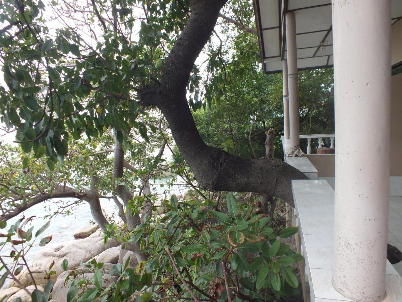 Queen Resort Ko Tao Bagian luar foto